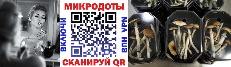 Псилоцибиновые грибы GOLDEN TEACHER  МЕГА ТОР  Власиха 
